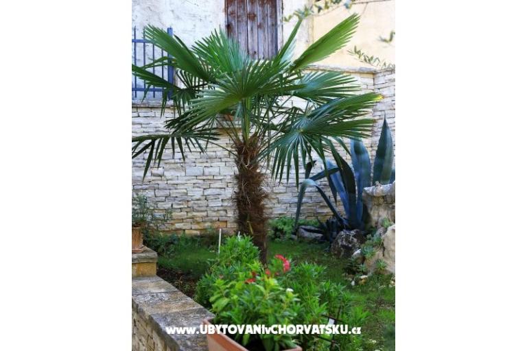 Casa Oleander  – fotó 3