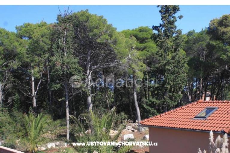 Apartmanok Mirjana – fotó 14