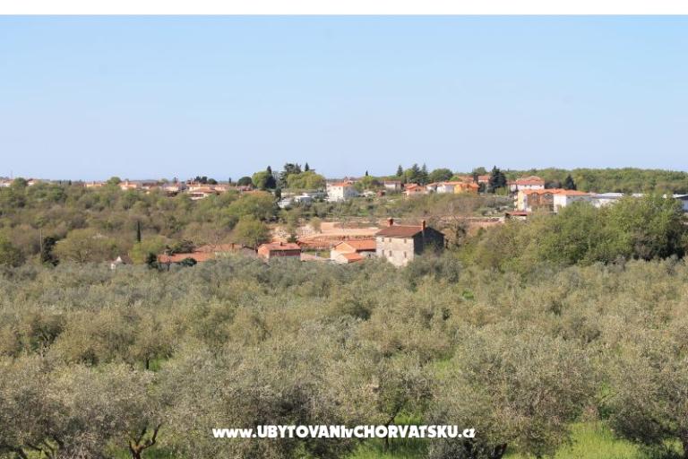 Apartma Olive garden – fotó 15