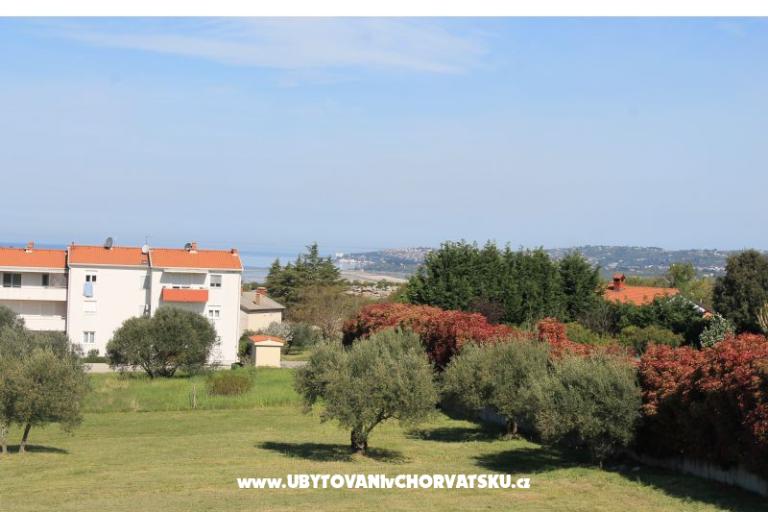 Apartma Olive garden – fotó 16