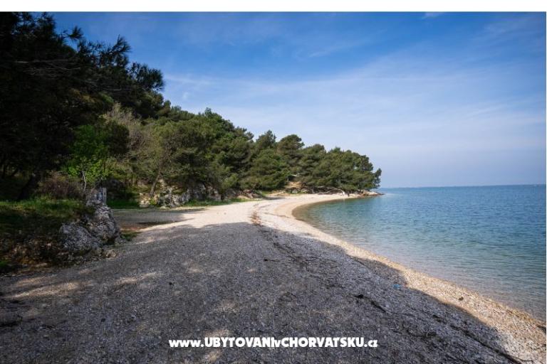 Apartma Olive garden – fotó 17