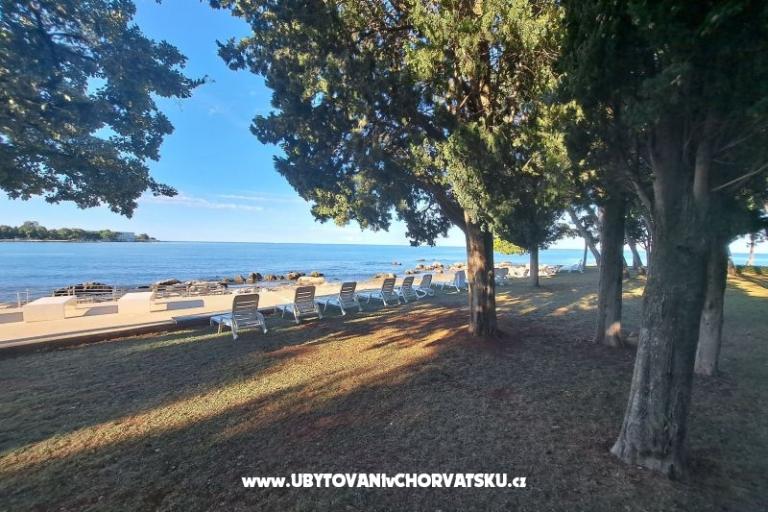 Apartmanok Boris – fotó 11