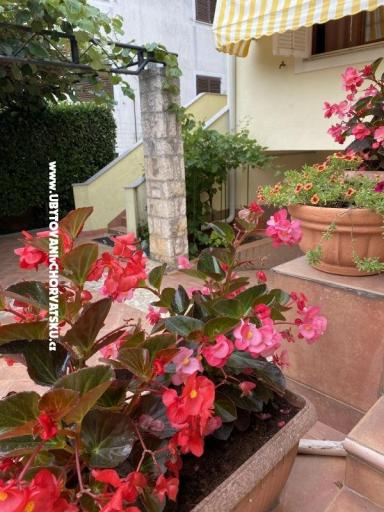 Apartmanok Maris  – fotó 2