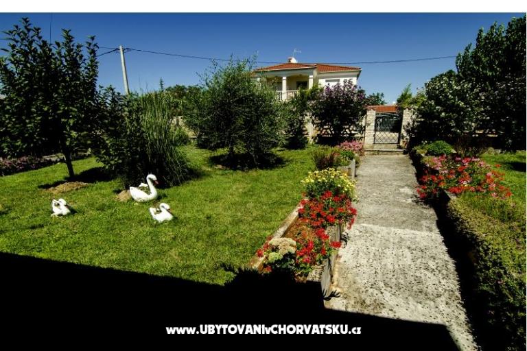 Apartmanok Paradinovic – fotó 10