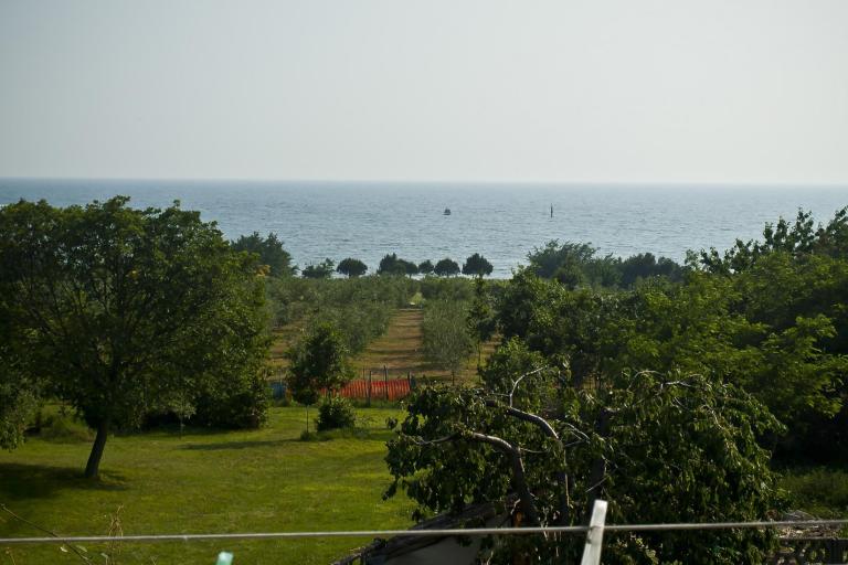 Apartmanok Paradinovic – fotó 2