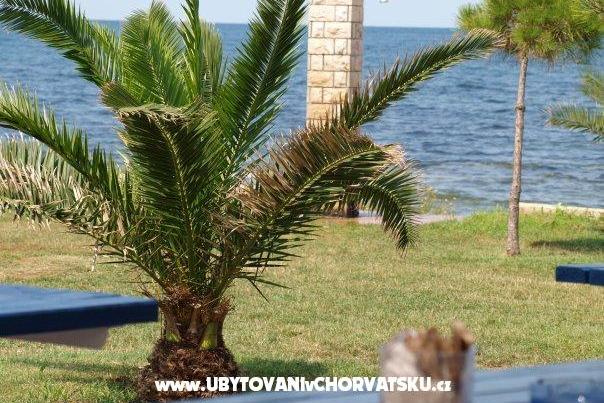 Apartmanok Nevenka – fotó 11