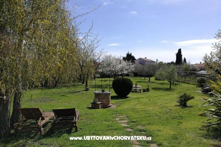 Apartmanok Jana – fotó 8