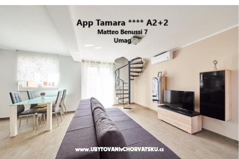 App Leone – fotó 12