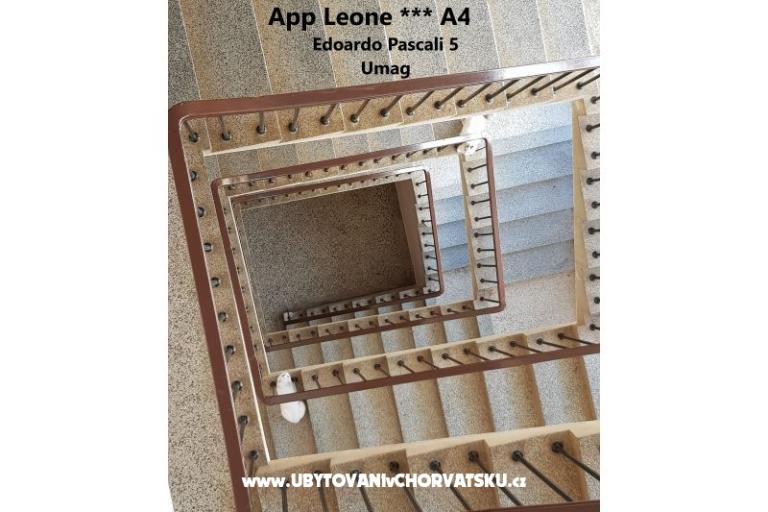 App Leone – fotó 17