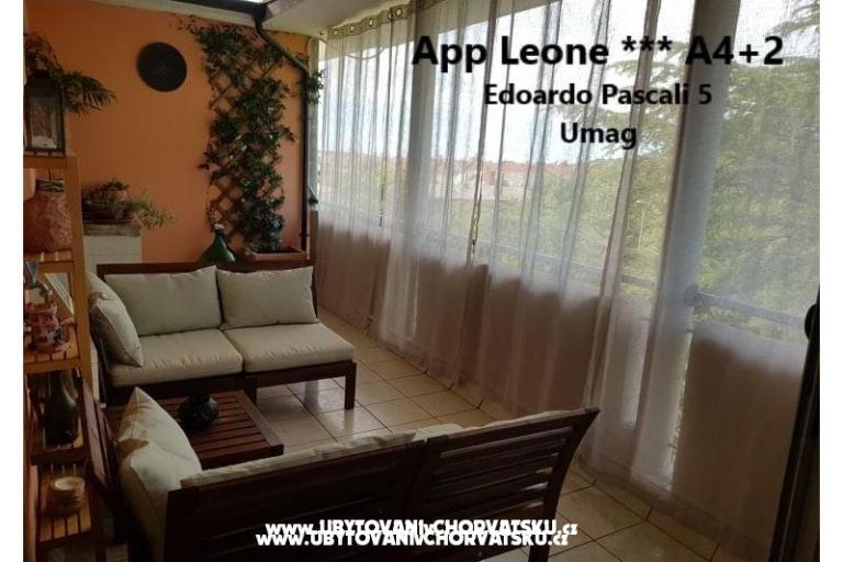 App Leone – fotó 9
