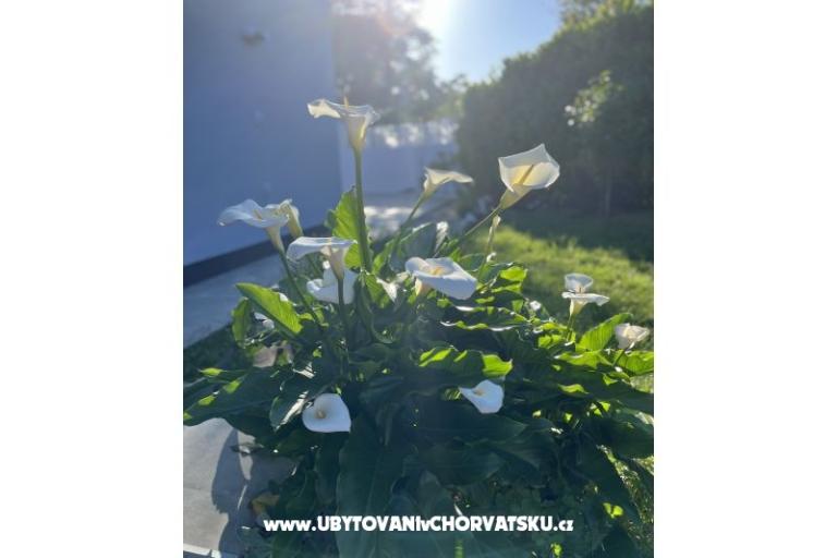 Holiday Ház Gabi – fotó 18