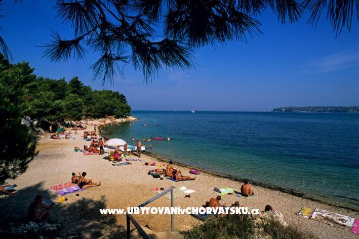 Apartmanok Lav – fotó 7
