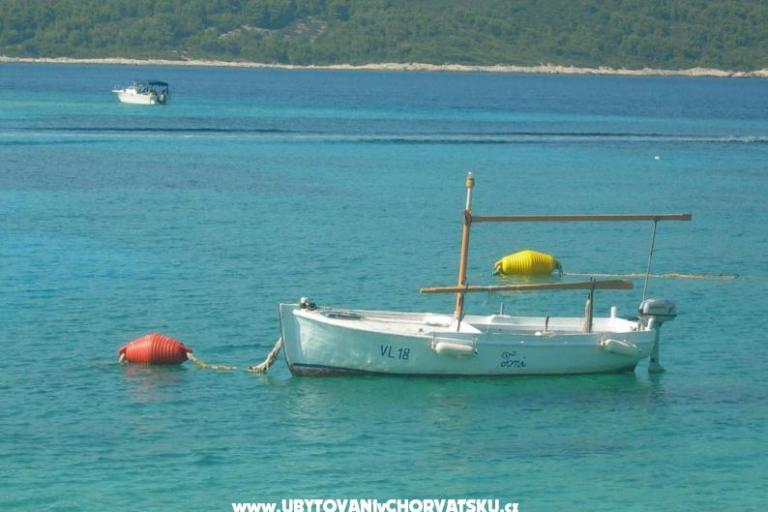 Apartman Prznjak + boat – fotó 5