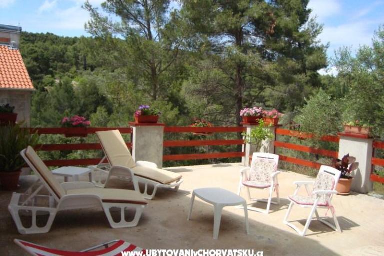 Gradina apartman – fotó 11