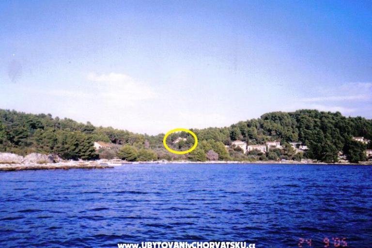 Gradina apartman – fotó 2