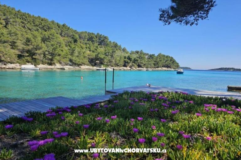 Villa Bell Aria Korcula – fotó 10