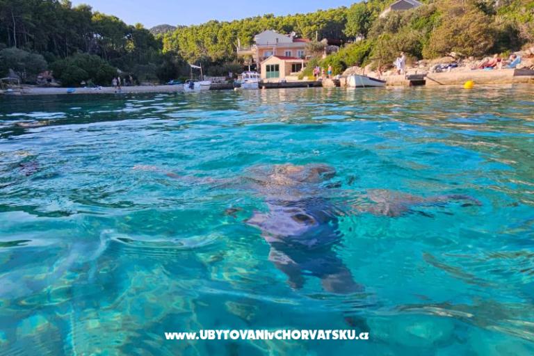 Villa Bell Aria Korcula – fotó 11