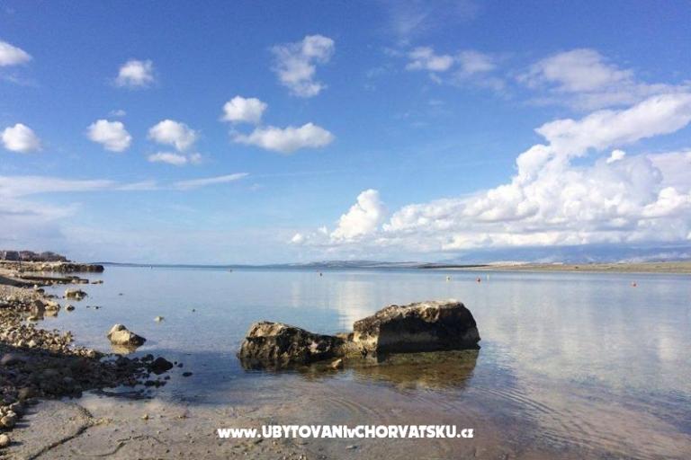 Alida apartmani Vir – fotó 13