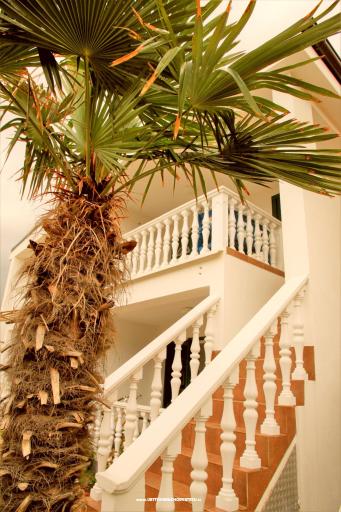 Apartman Bura – fotó 3