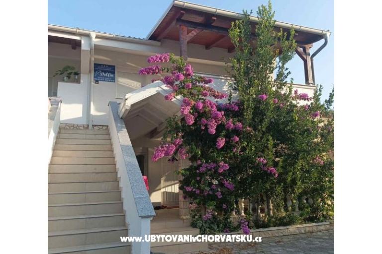 Apartmanok Delfin – fotó 18