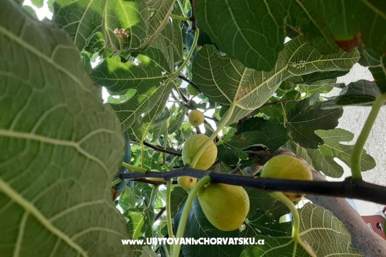 Apartmanok Alma – fotó 16