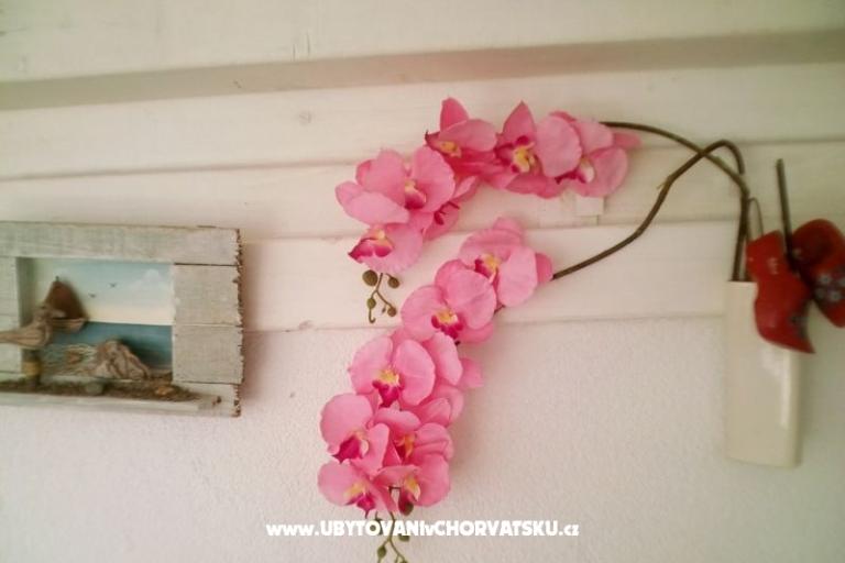 Apartmanok Alma – fotó 17