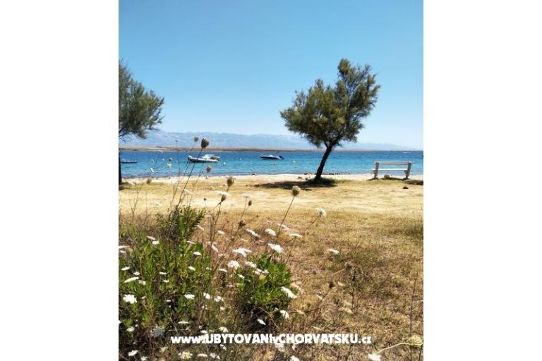 Apartmanok Aria – fotó 20