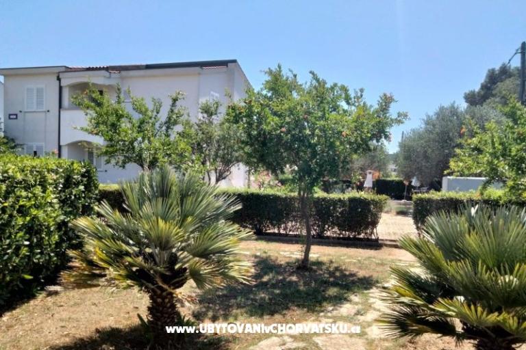 Apartmanok Budija / Viola – fotó 10