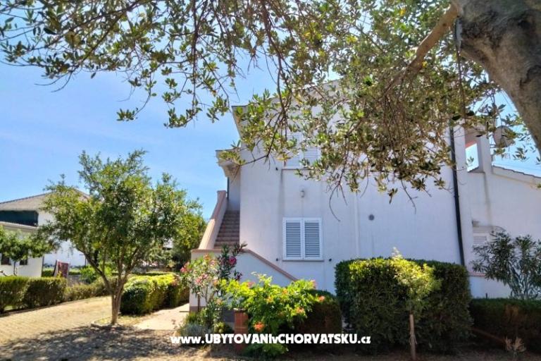 Apartmanok Budija / Viola – fotó 2