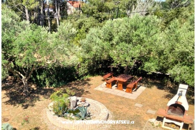 Apartmanok Budija / Viola – fotó 3
