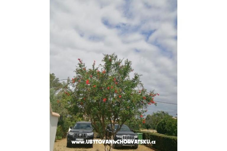 Apartmanok Budija / Viola – fotó 9