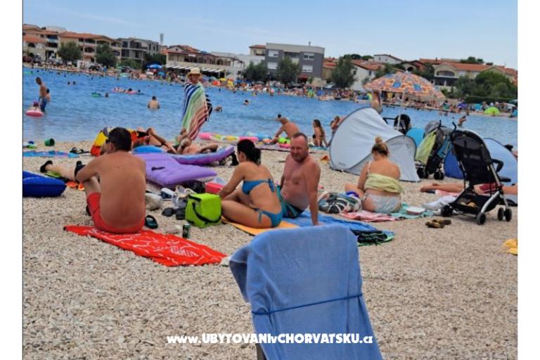 Apartmanok Dalija  Vir – fotó 18