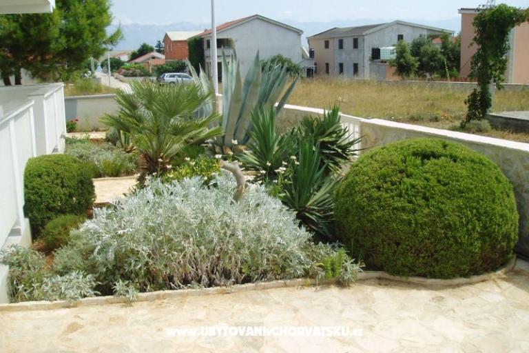 Apartmanok Fegeš – fotó 11