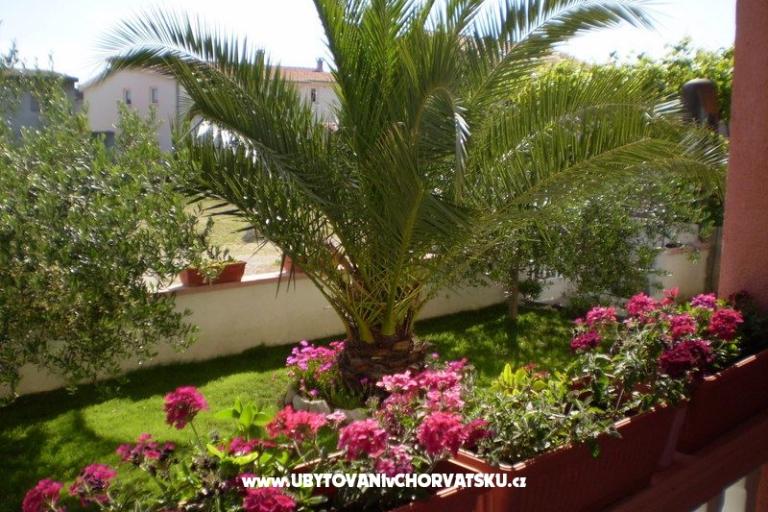 Apartmanok Kantoci – fotó 12