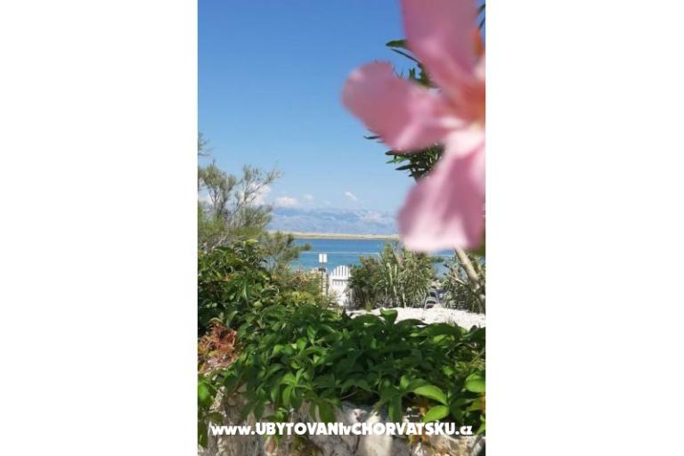 Apartmanok Knapić – fotó 7