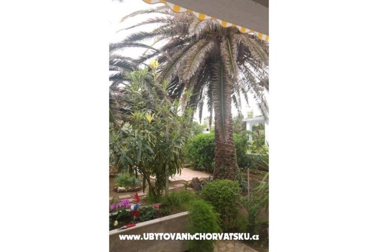 Apartmanok Milka Vir – fotó 7