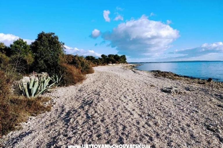 Apartmanok Samanta Vir – fotó 4