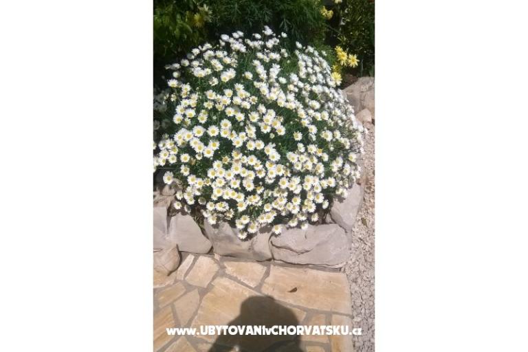 Apartmanok Štefanija – fotó 11