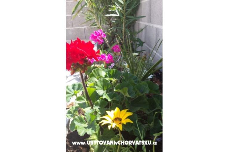 Apartmanok Maja – fotó 14
