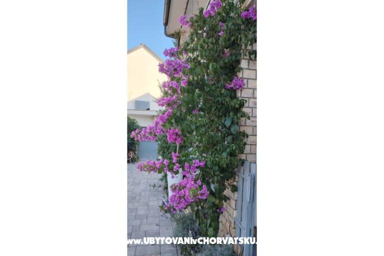 Apartmanok Sunce – fotó 35