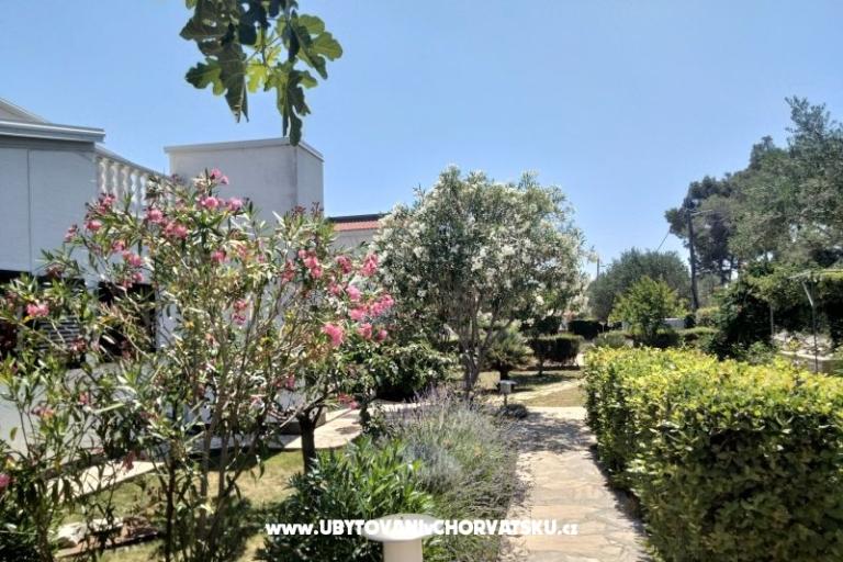 Apartmanok Budija / Lavanda – fotó 6