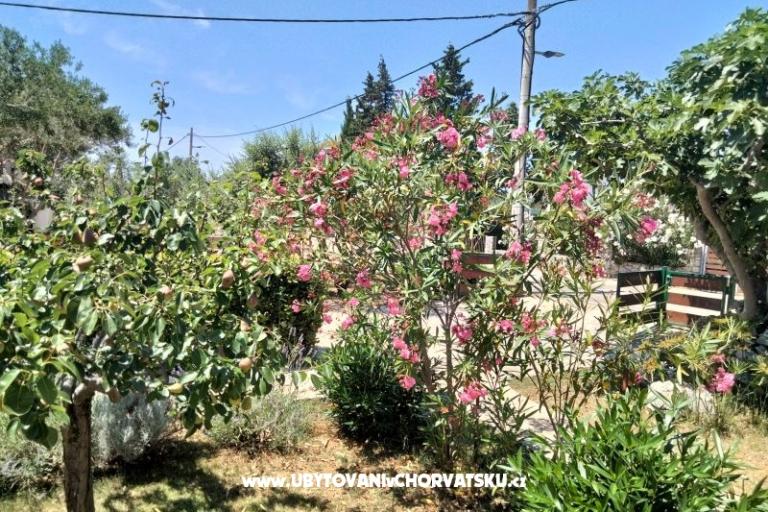 Apartmanok Budija / Lavanda – fotó 8