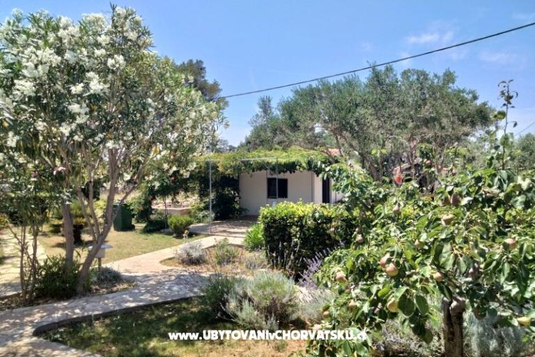 Apartmanok Budija / Lavanda – fotó 9
