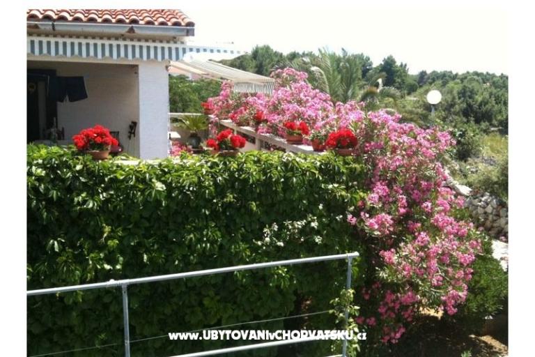 Apartman Lučica – fotó 11