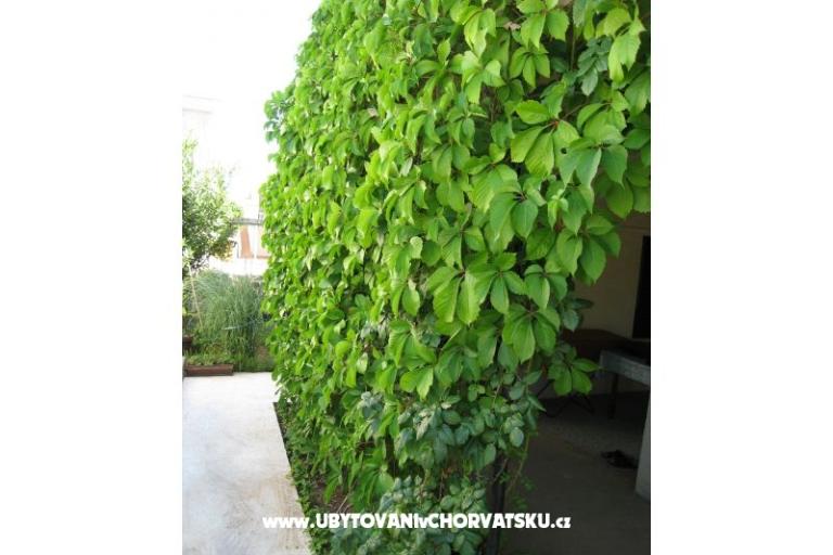 Apartman Lučica – fotó 12