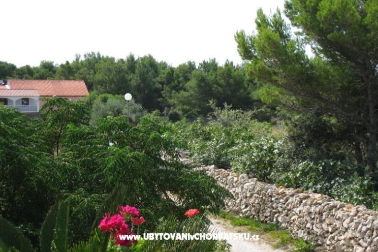 Apartman Lučica – fotó 13