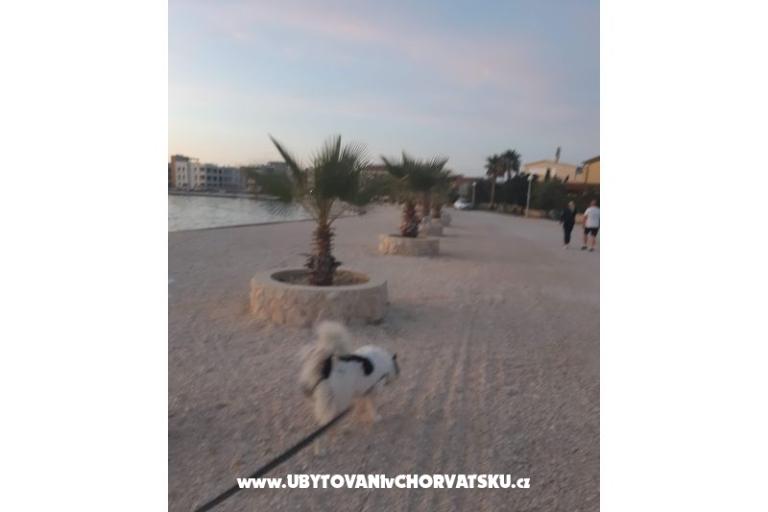 Apartmanok IVA – fotó 35