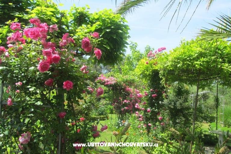 Apartmanok Pavlica – fotó 11