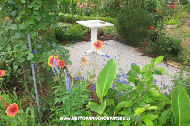 Apartmanok Pavlica – fotó 12
