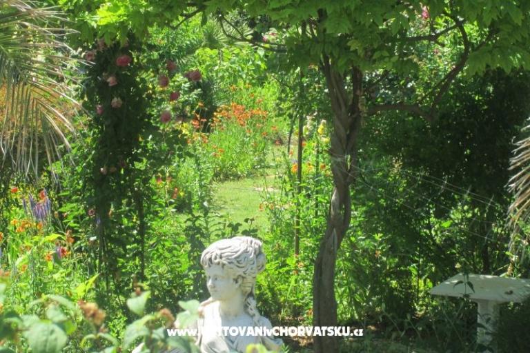 Apartmanok Pavlica – fotó 16